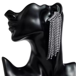 Dramatic climbing rhinestone earrings!!